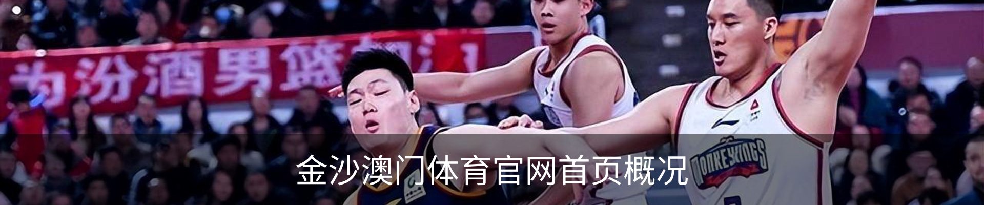 金沙澳门体育官网首页概况